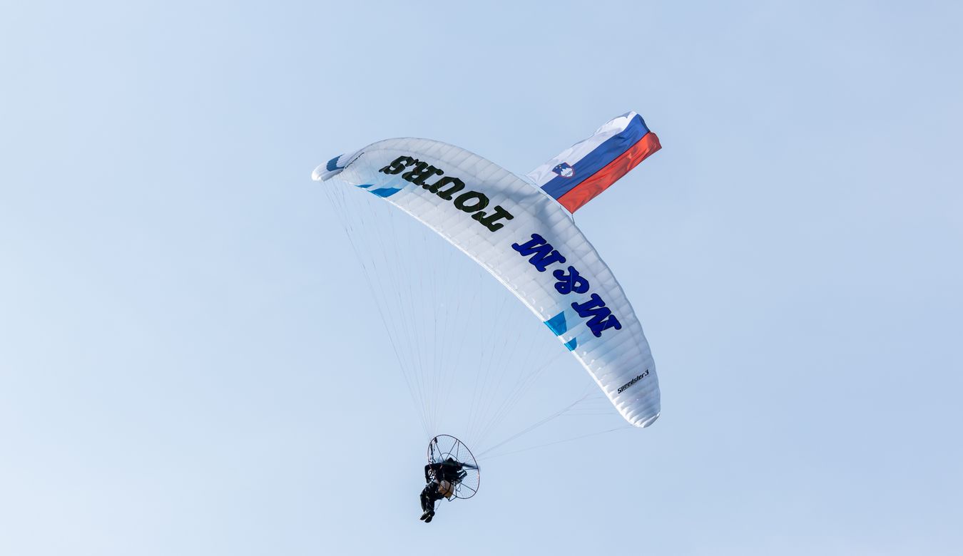 Padalec s slovensko zastavo