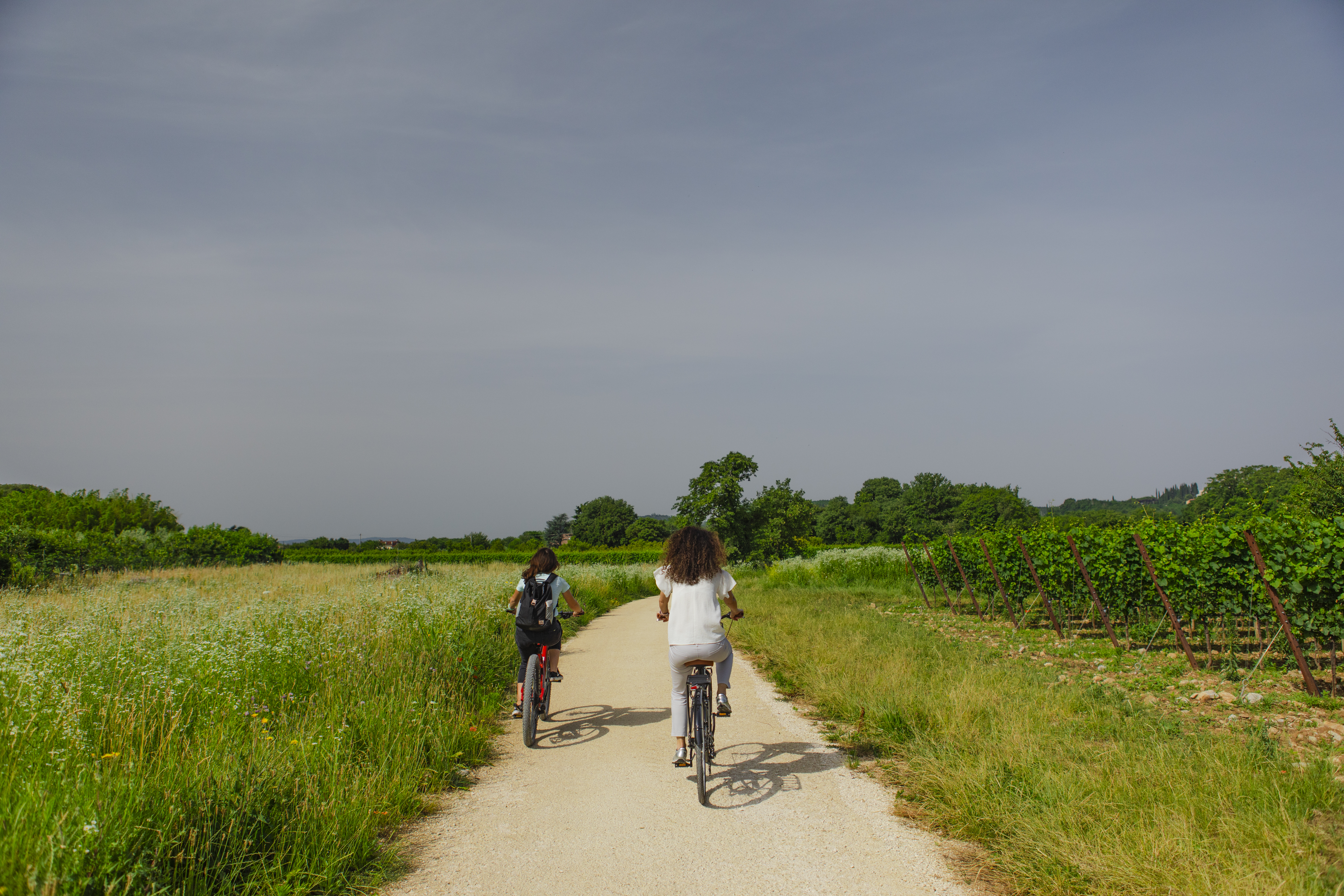 Kolesarki kolesarita po kolesarski stezi na solkanskih poljih.