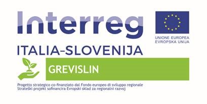Logotip projekta Interreg Italia - Slovenija